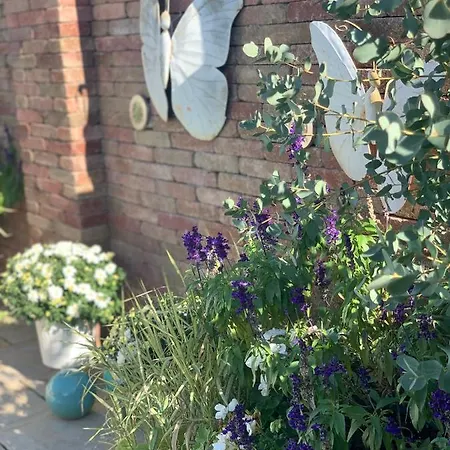 Balatonblue Rum i privatbostad